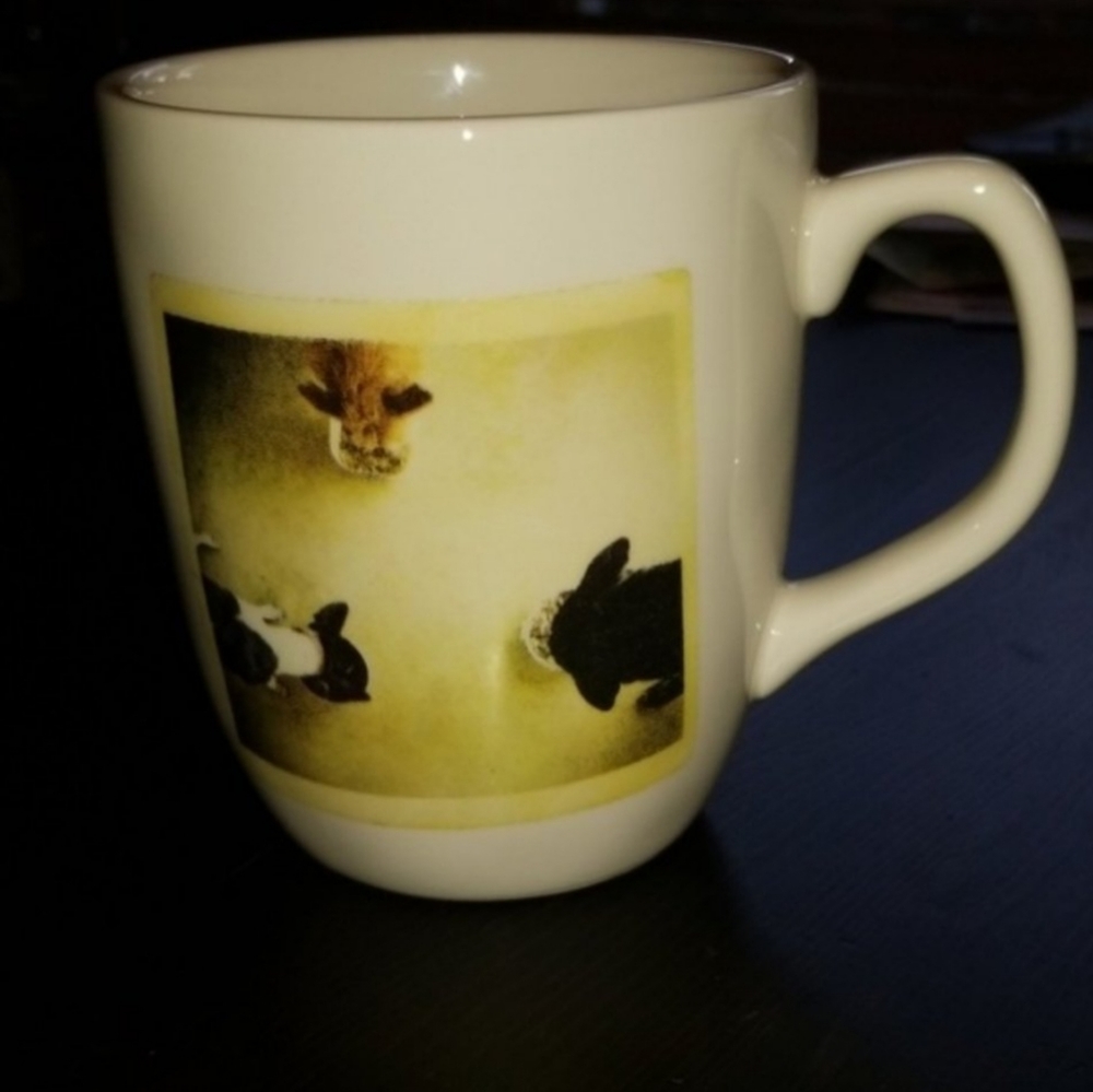 (2) Rae Dunn Mugs - Picture 7 of 12